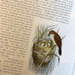 Sketch-Book of British Birds – Richard Bowdler Sharpe, A.F. and C. Lydon