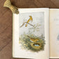 Sketch-Book of British Birds – Richard Bowdler Sharpe, A.F. and C. Lydon
