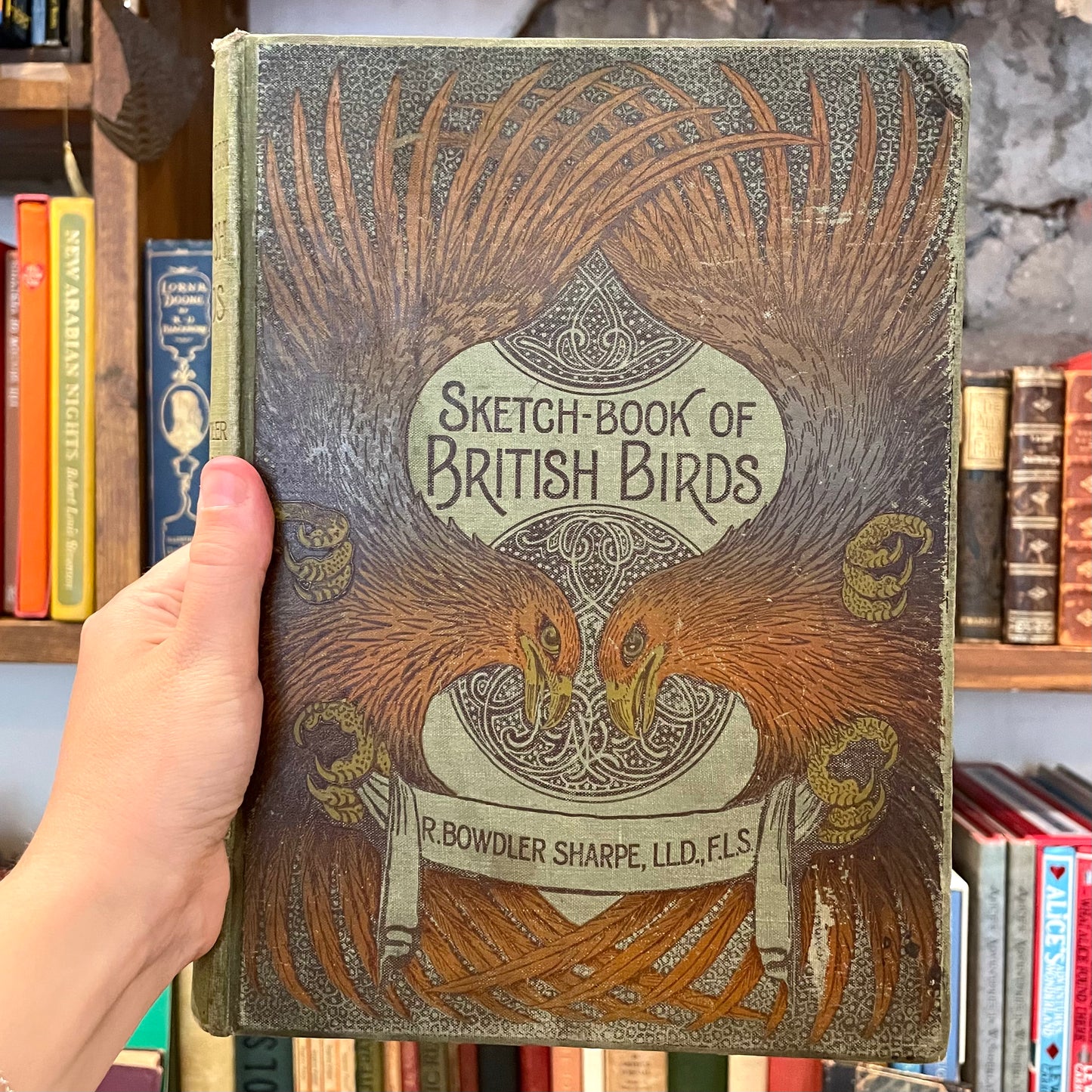 Sketch-Book of British Birds – Richard Bowdler Sharpe, A.F. and C. Lydon