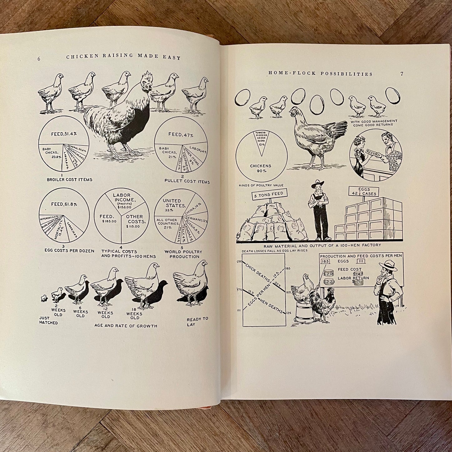 Chicken Raising Made Easy – Paul W. Chapman, Leon D'Emo