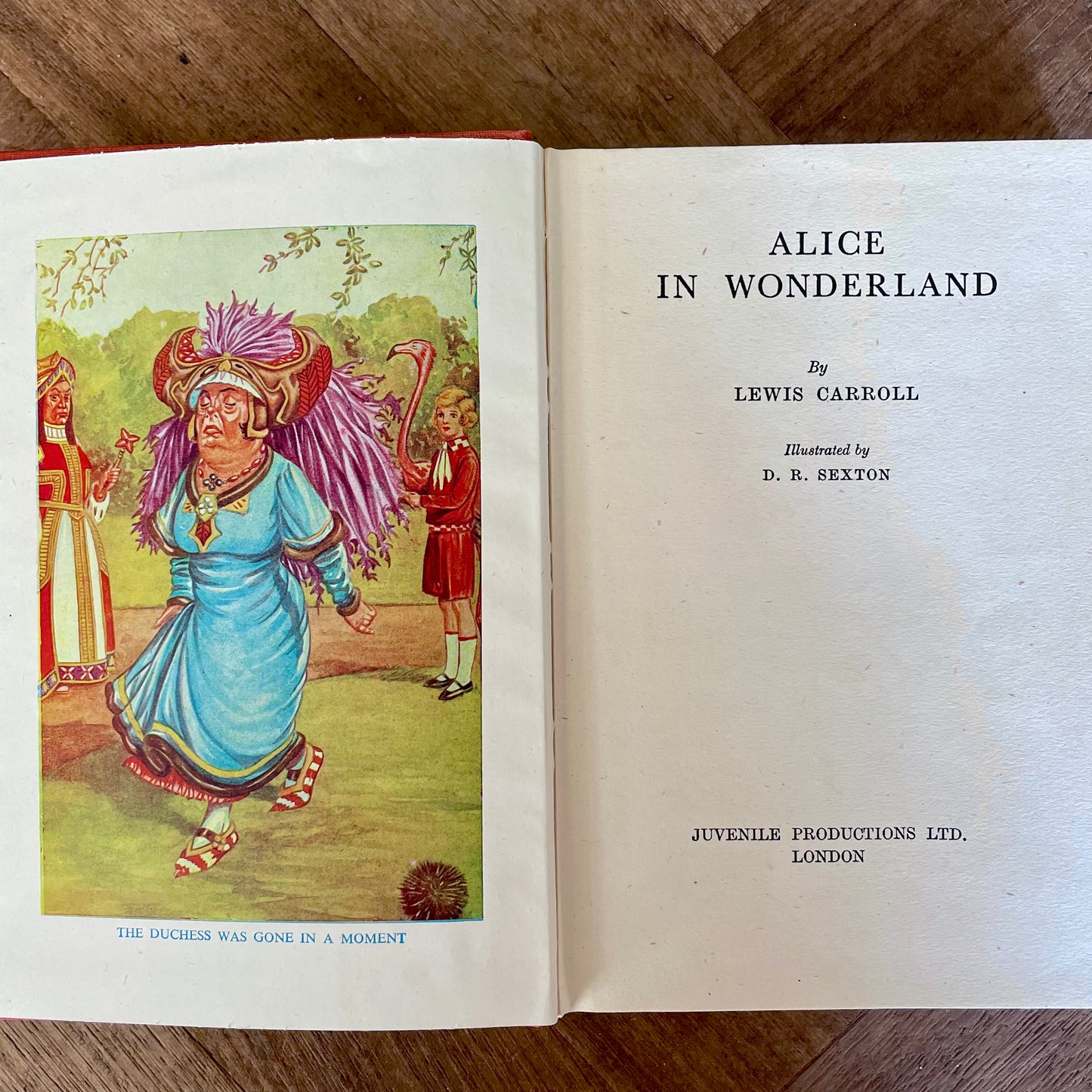 Alice in Wonderland – Lewis Carroll, D.R. Sexton