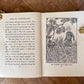 Alice in Wonderland – Lewis Carroll, D.R. Sexton