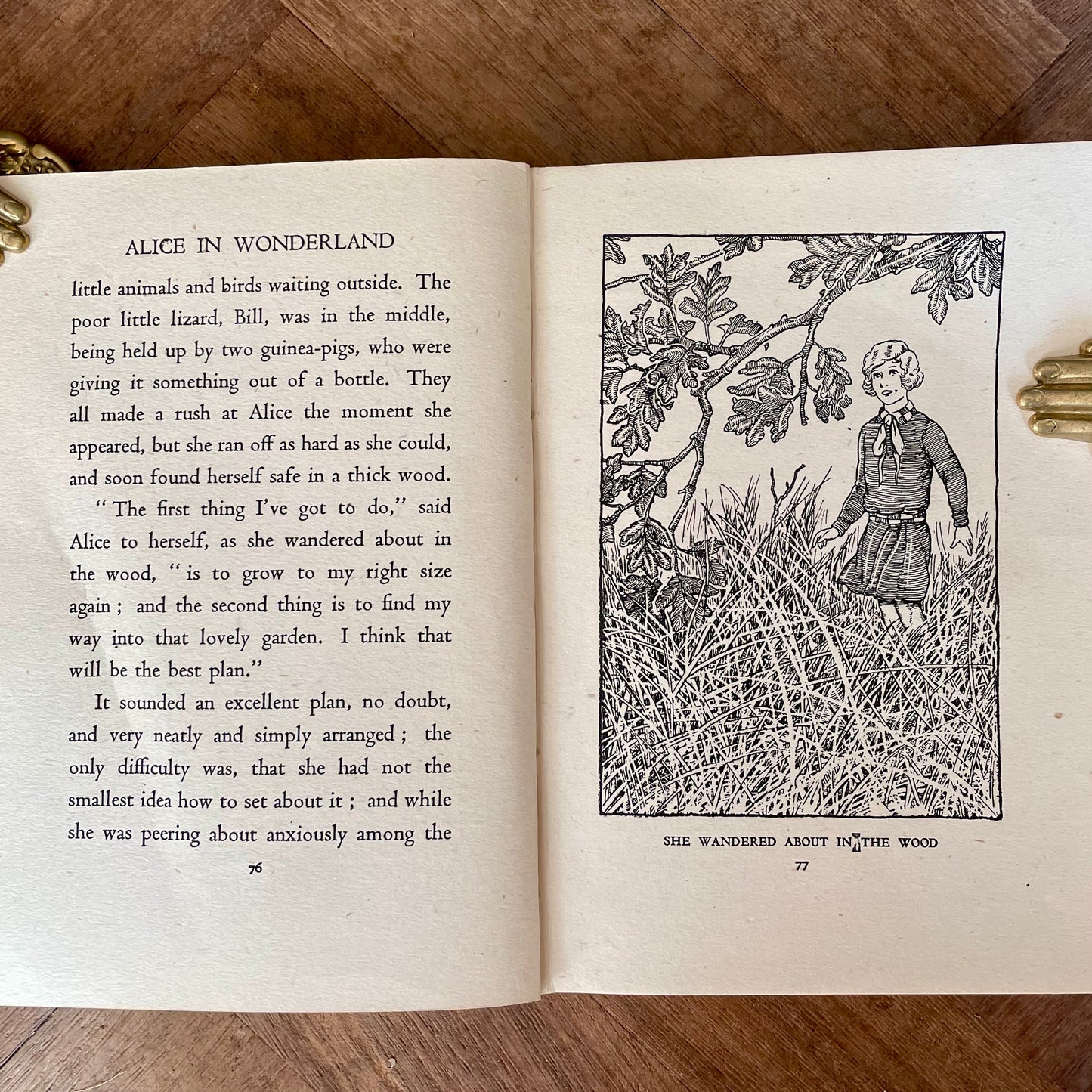 Alice in Wonderland – Lewis Carroll, D.R. Sexton