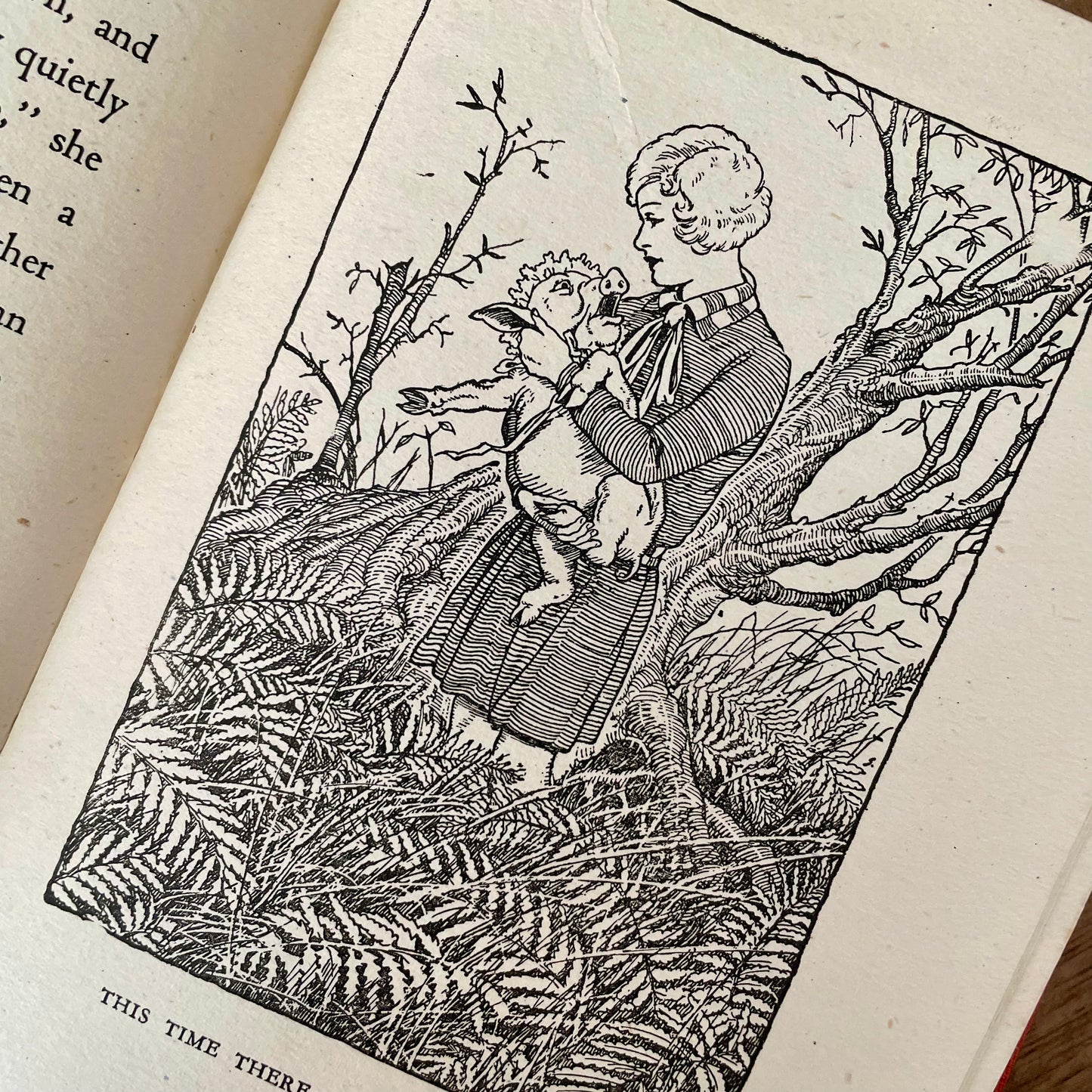 Alice in Wonderland – Lewis Carroll, D.R. Sexton