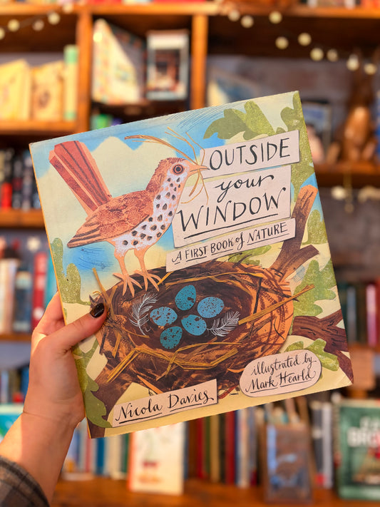 Outside your window: A first book of nature - Nicola Davies, Mark Hearld