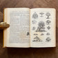Mrs Beetons All About Cookery (1903)
