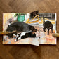 Copycat (First Edition)- Ruth Brown