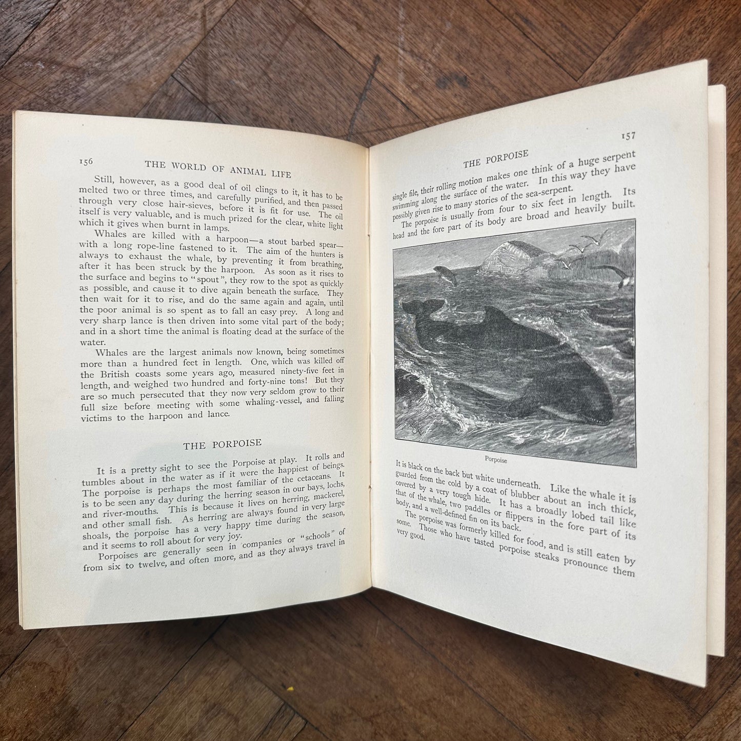 The World of Animal Life — edited by Fred Smith