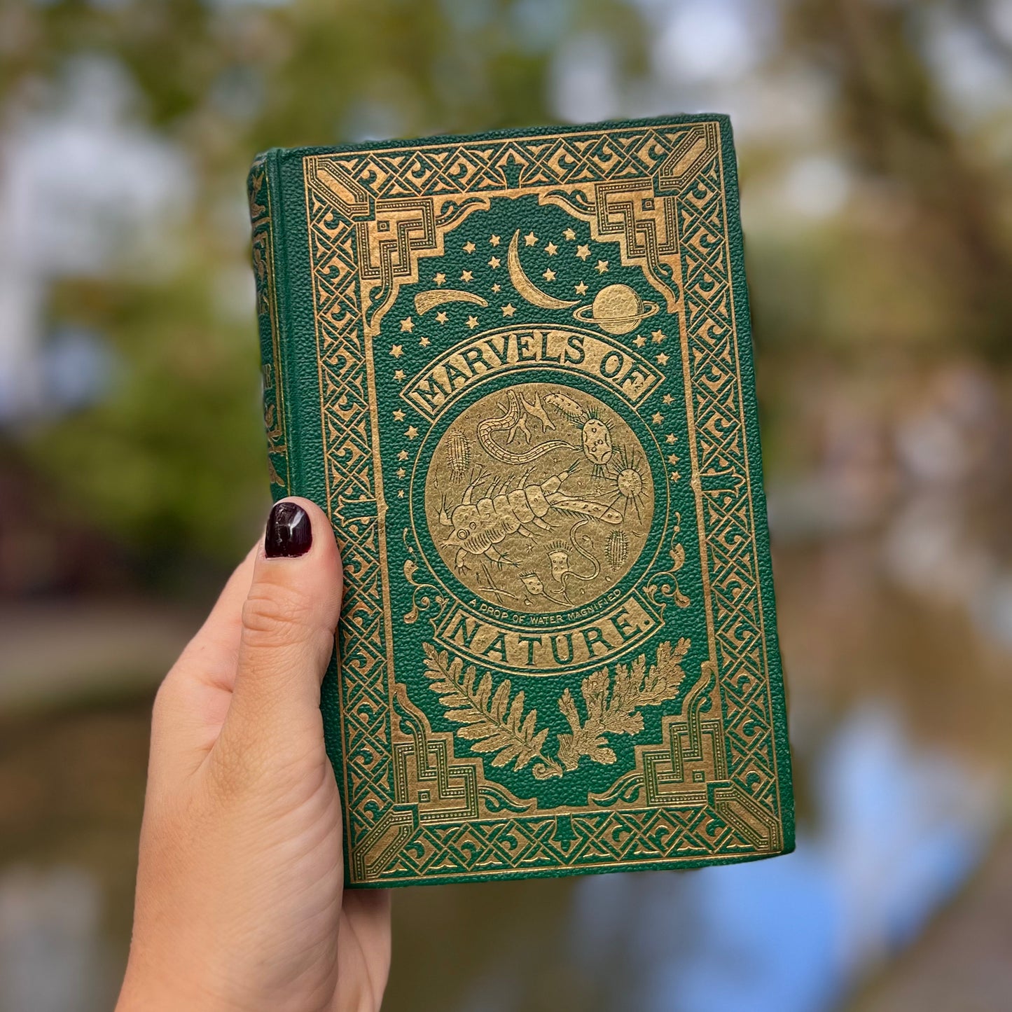 The Marvels of Nature (c. 1860) – Elisha Noyce, Dalziel Brothers