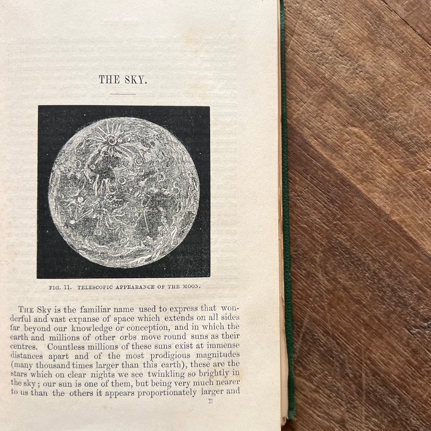 The Marvels of Nature (c. 1860) – Elisha Noyce, Dalziel Brothers