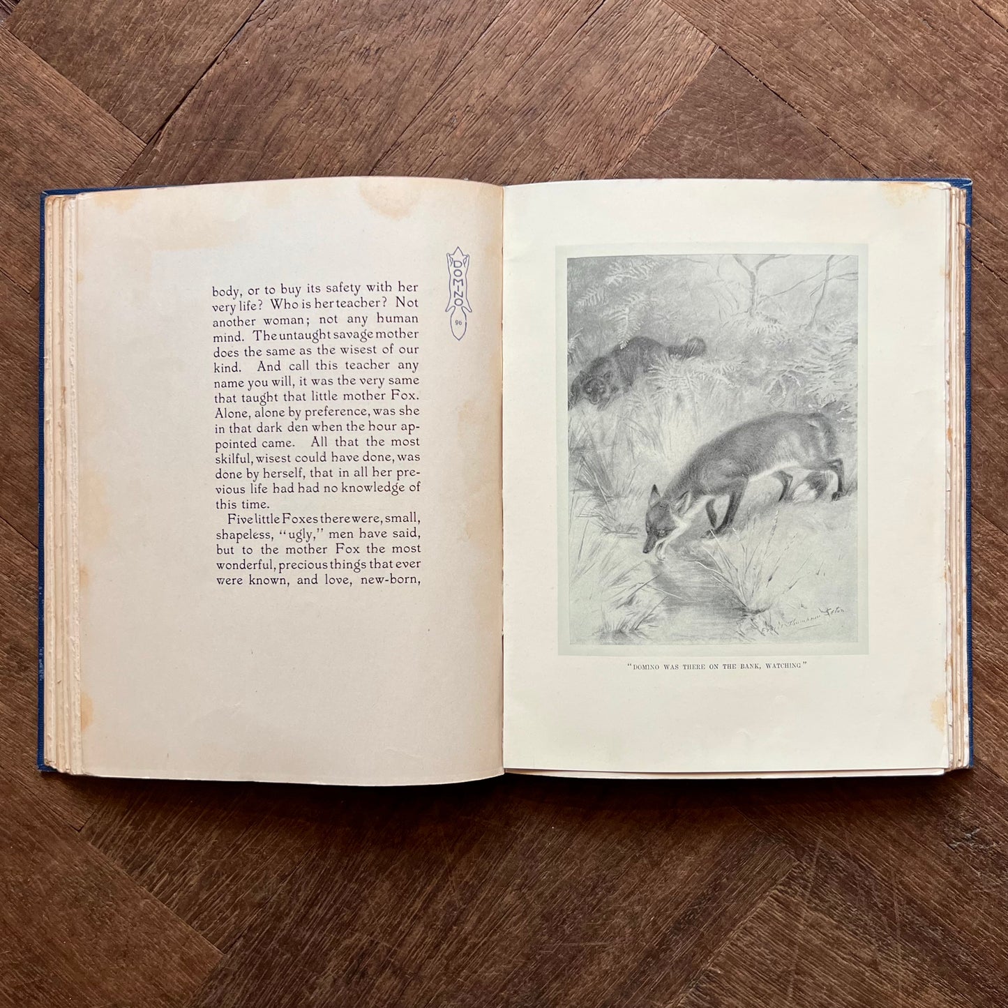 The Biography of a Silver Fox (1909) – Ernest Thompson Seton