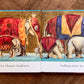 One Cheetah, One Cherry: A Book of Beautiful Numbers – Jackie Morris