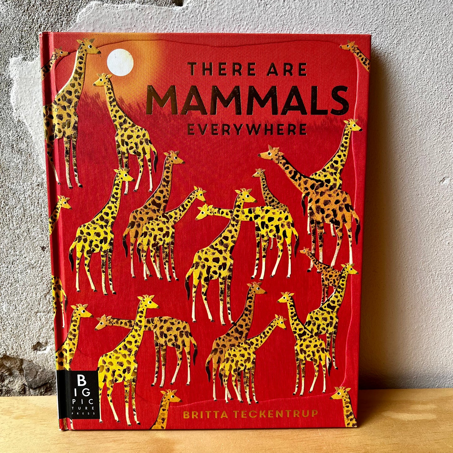 There Are Mammals Everywhere – Camilla De La Bedoyere, Britta Teckentrup