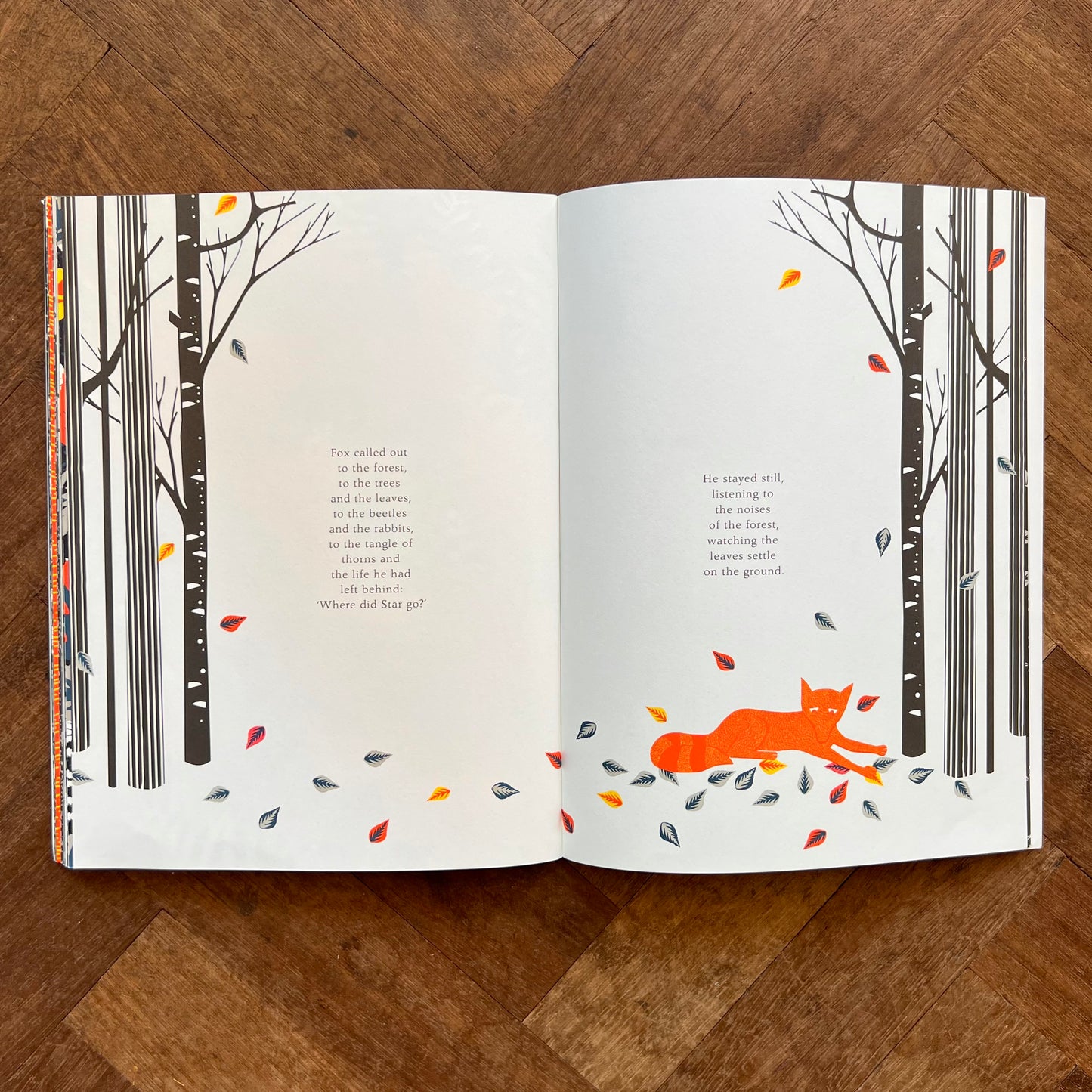 The Fox and the Star – Coralie Bickford-Smith