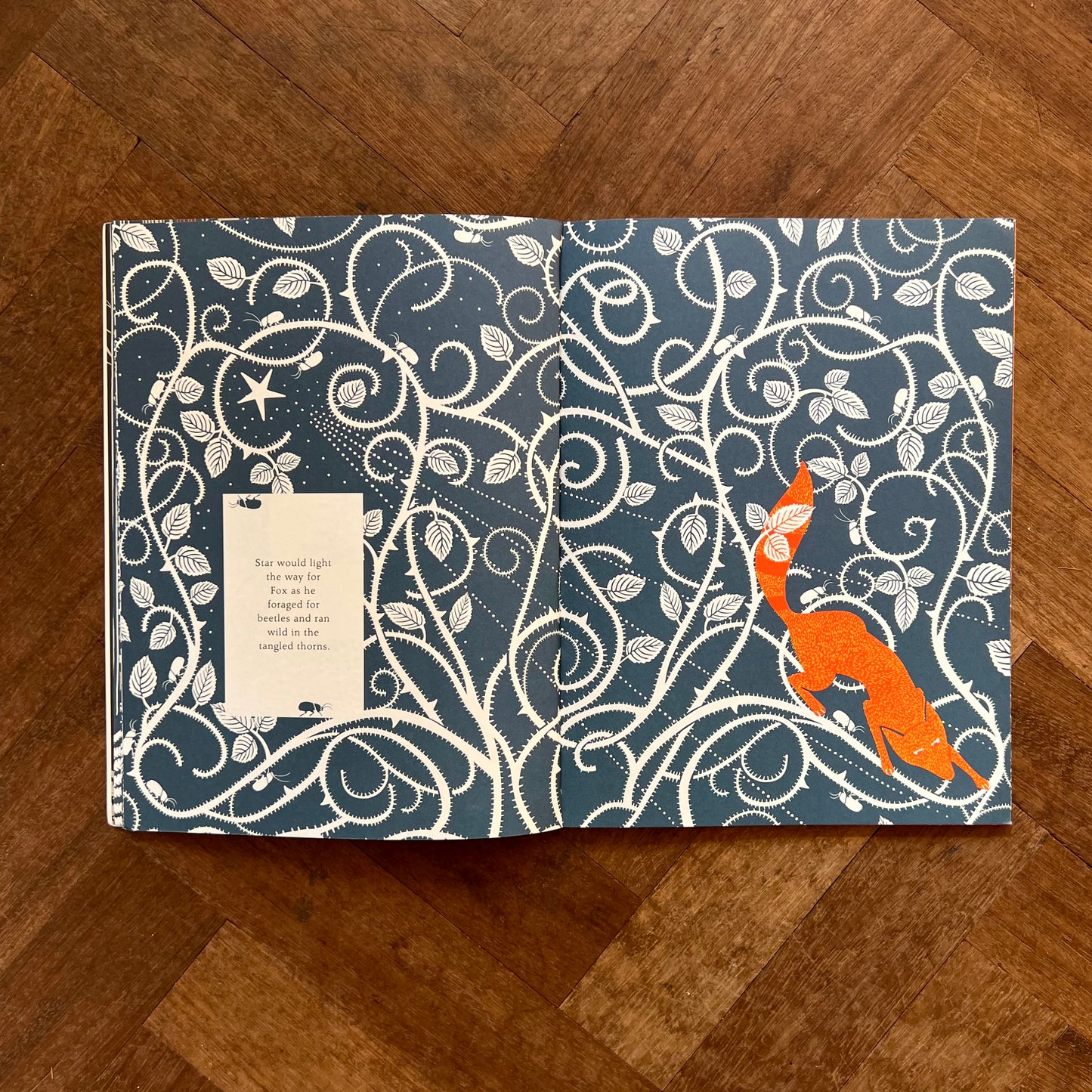 The Fox and the Star – Coralie Bickford-Smith