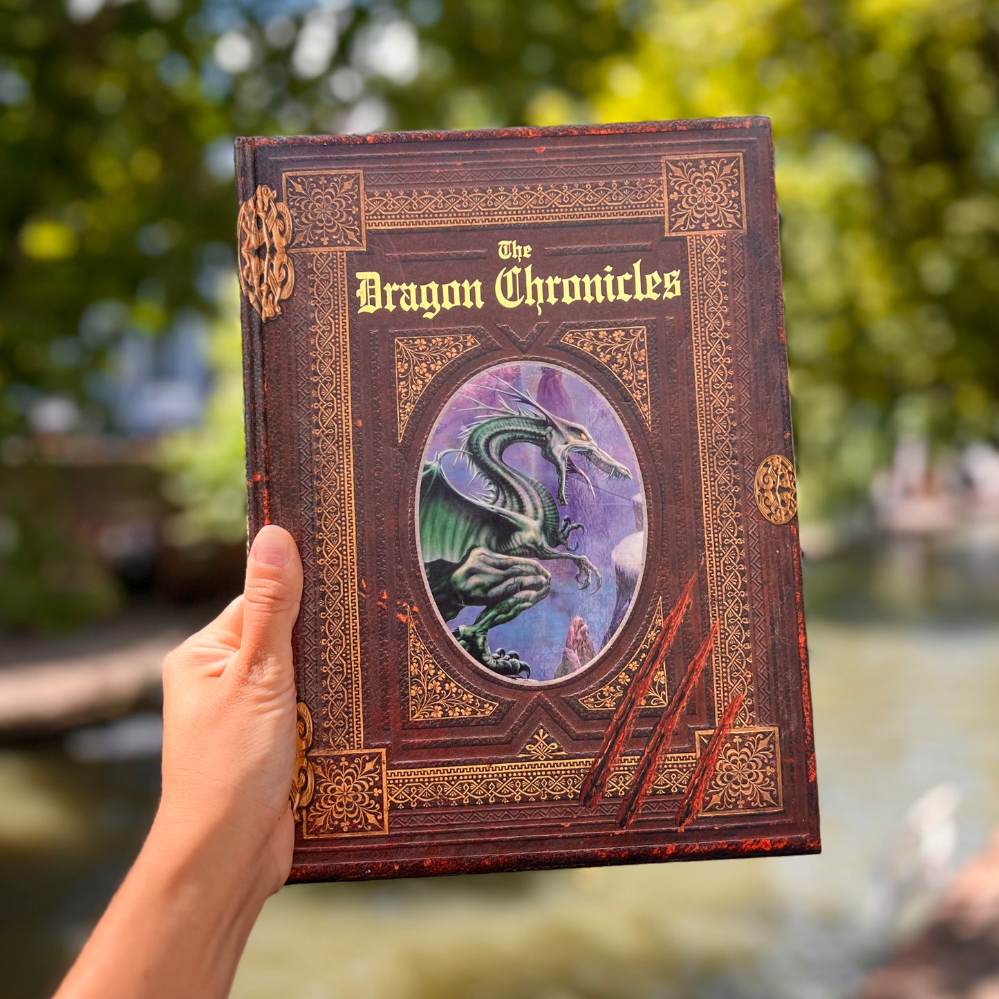 The Dragon Chronicles – Malcolm Sanders, Gary Walton
