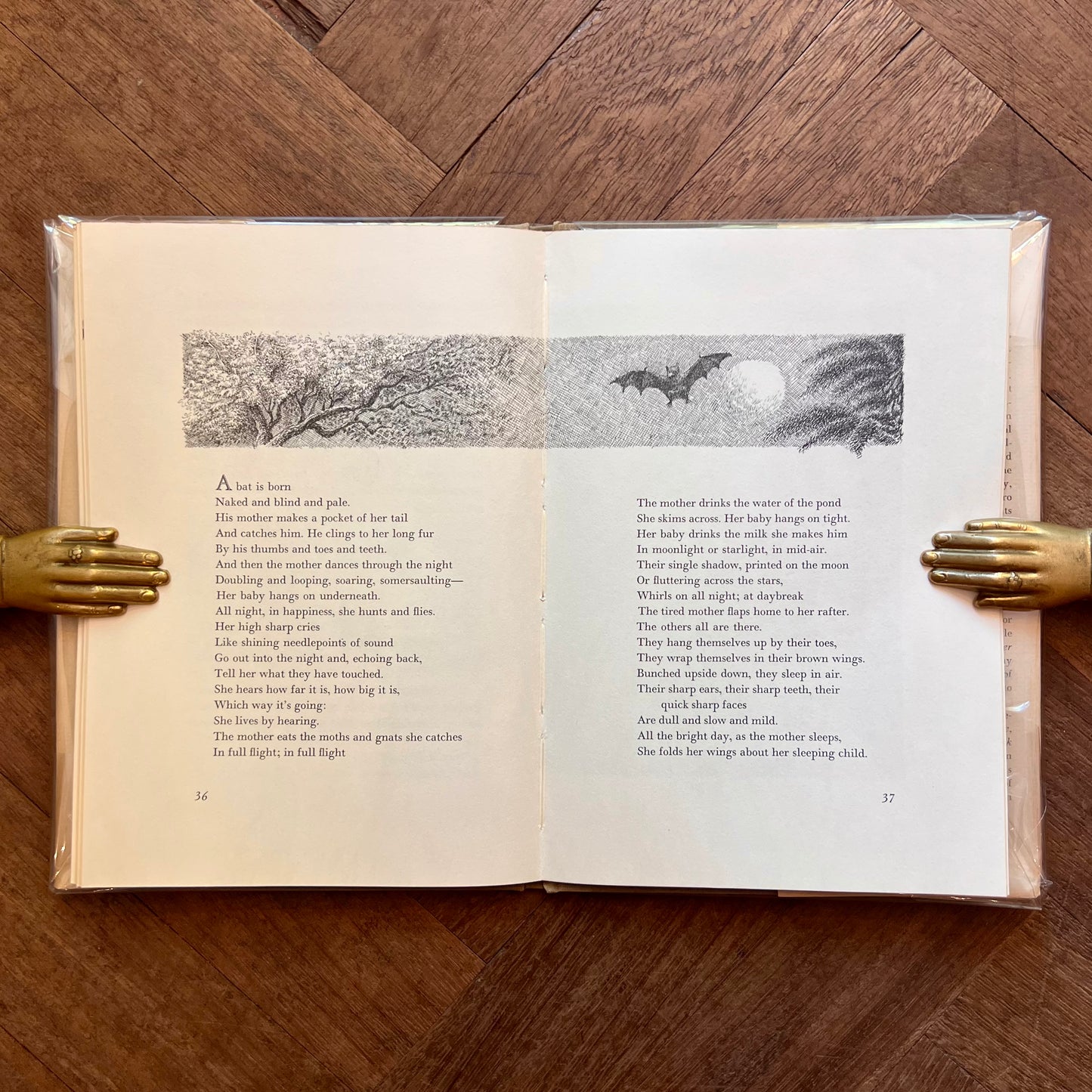 The Bat Poet (1964 First Edition) – Randall Jarrell, Maurice Sendak
