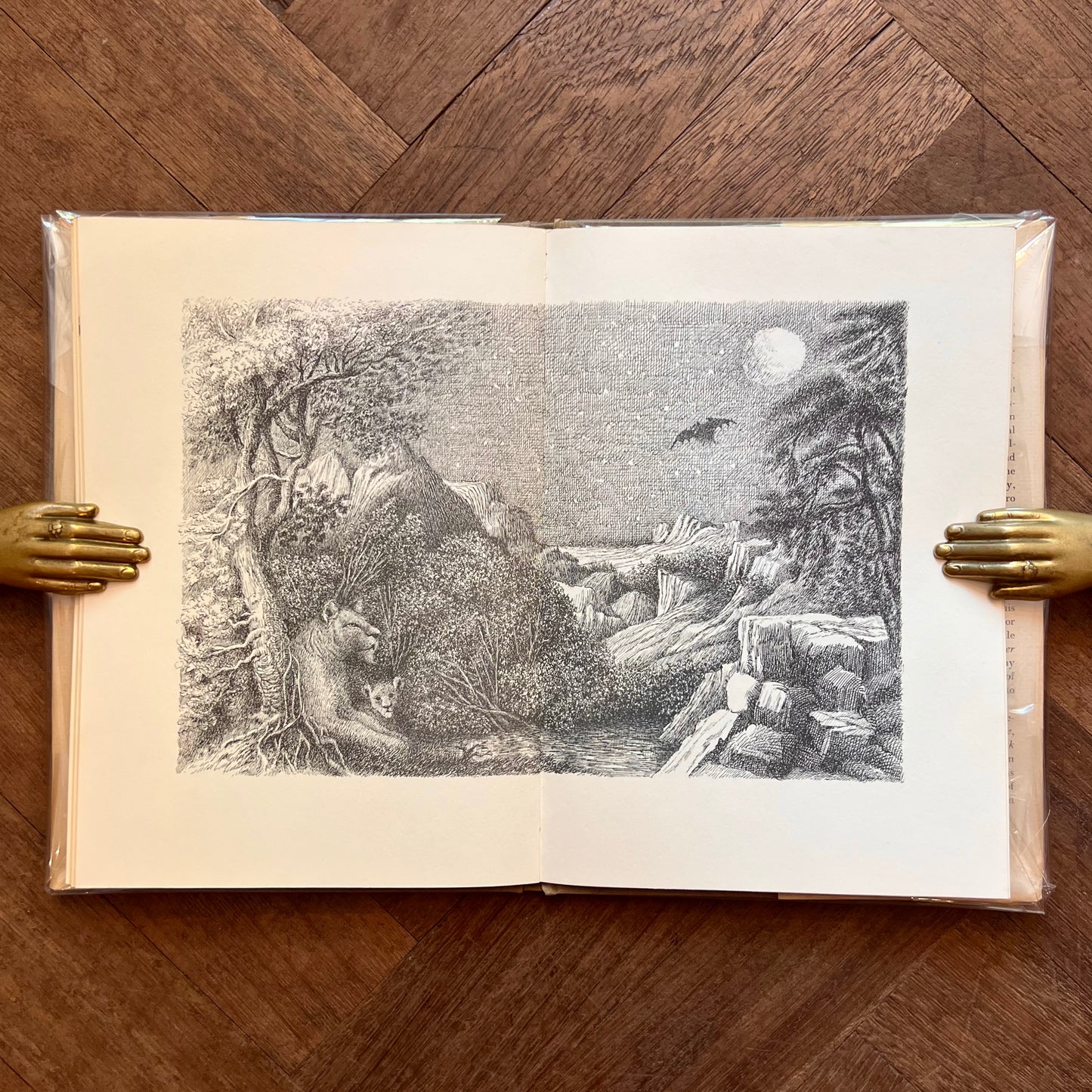The Bat Poet (1964 First Edition) – Randall Jarrell, Maurice Sendak