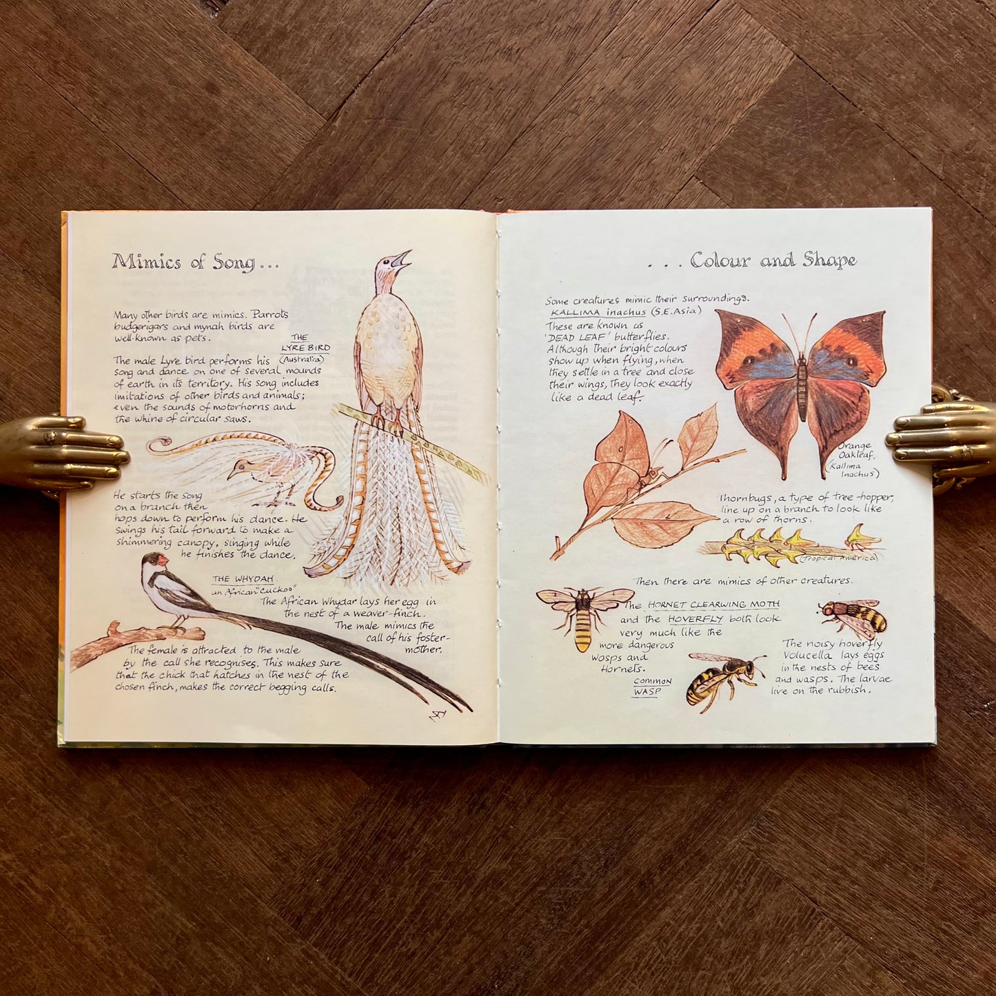 Tricks & Tales – Peter Firmin