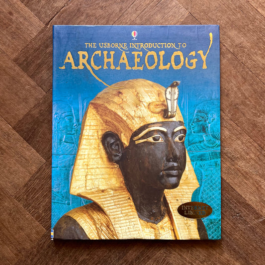 The Usborne Introduction to Archaeology