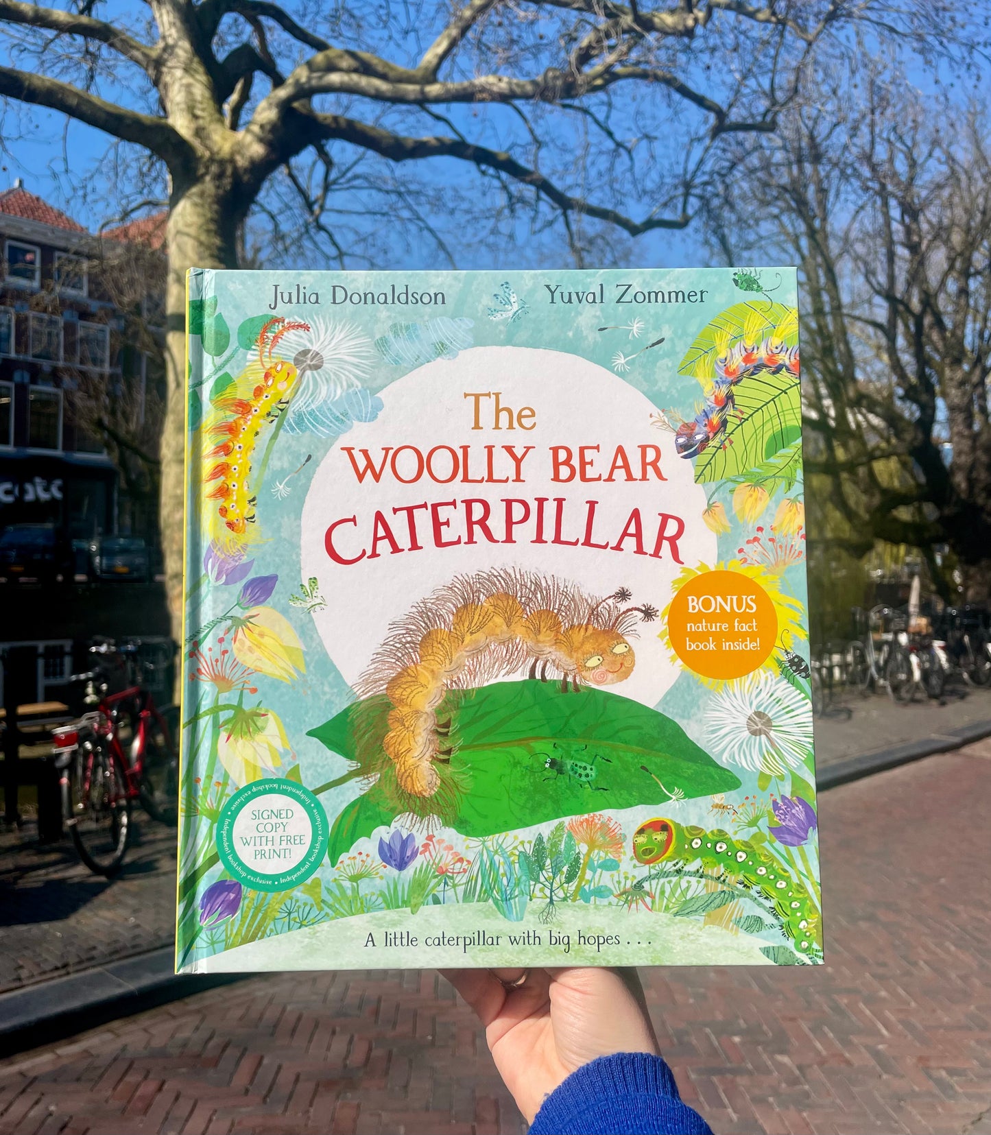 The Woolly Bear Caterpillar (First Edition, Double Signed) - Julia Donaldson, Yuval Zommer