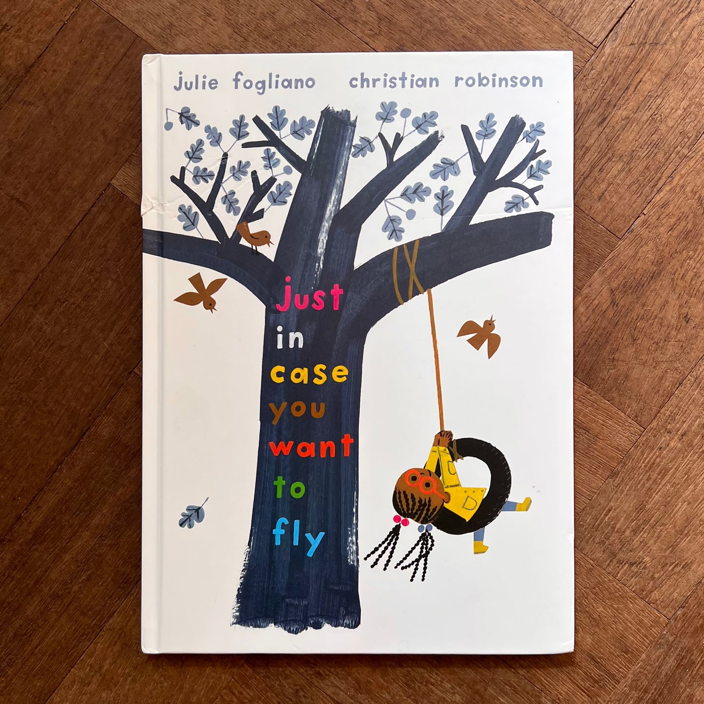 Just in Case You Want to Fly – Julie Fogliano, Christian Robinson