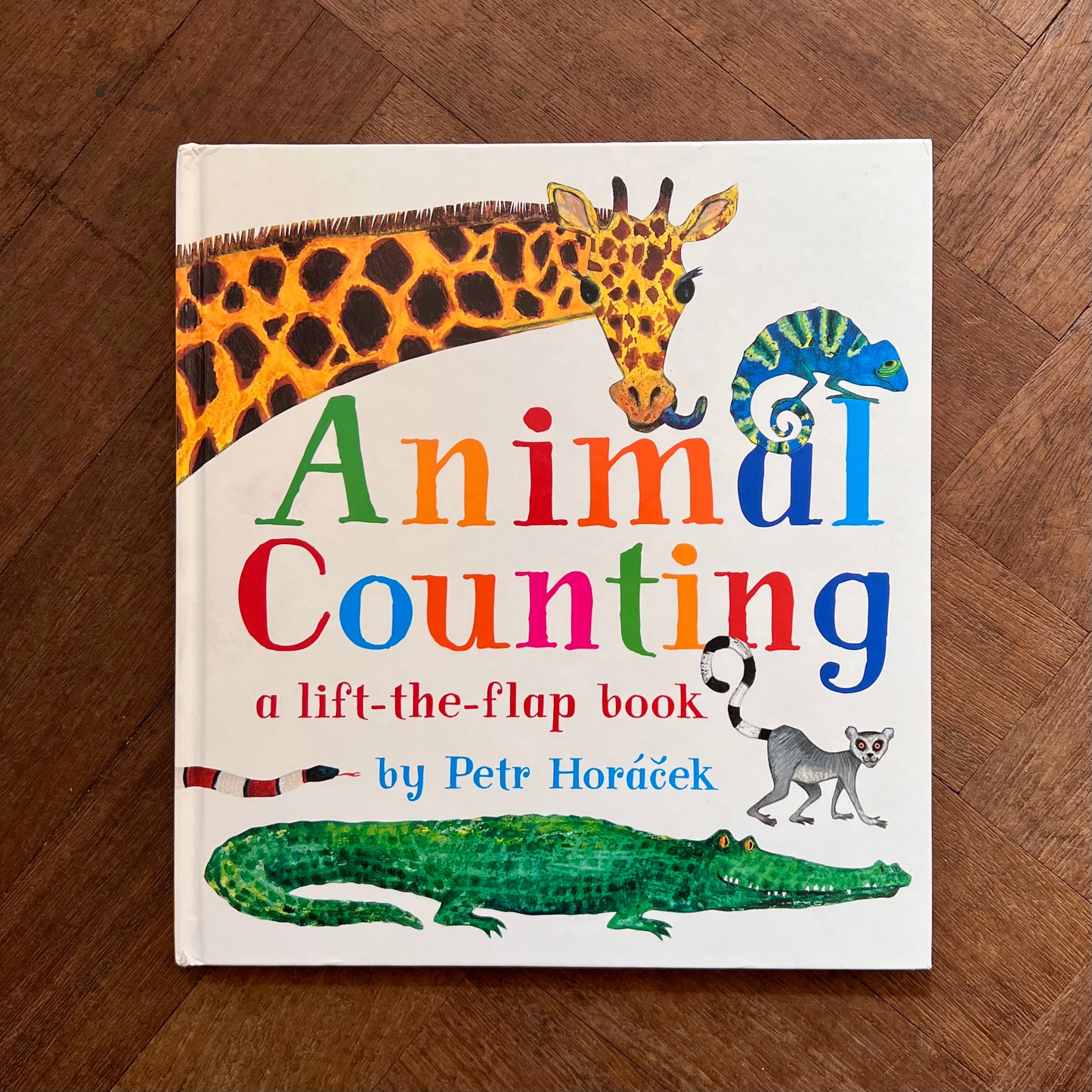 Animal Counting: A Lift-the-Flap Book – Petr Horáček