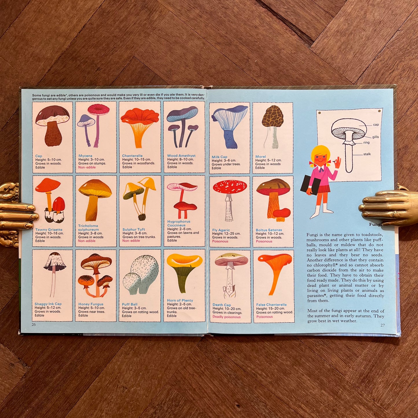 Keith and Sally’s Plant Book (1972 First Edition) – Alain Grée