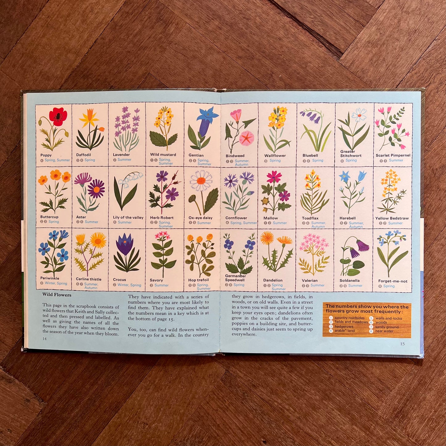 Keith and Sally’s Plant Book (1972 First Edition) – Alain Grée