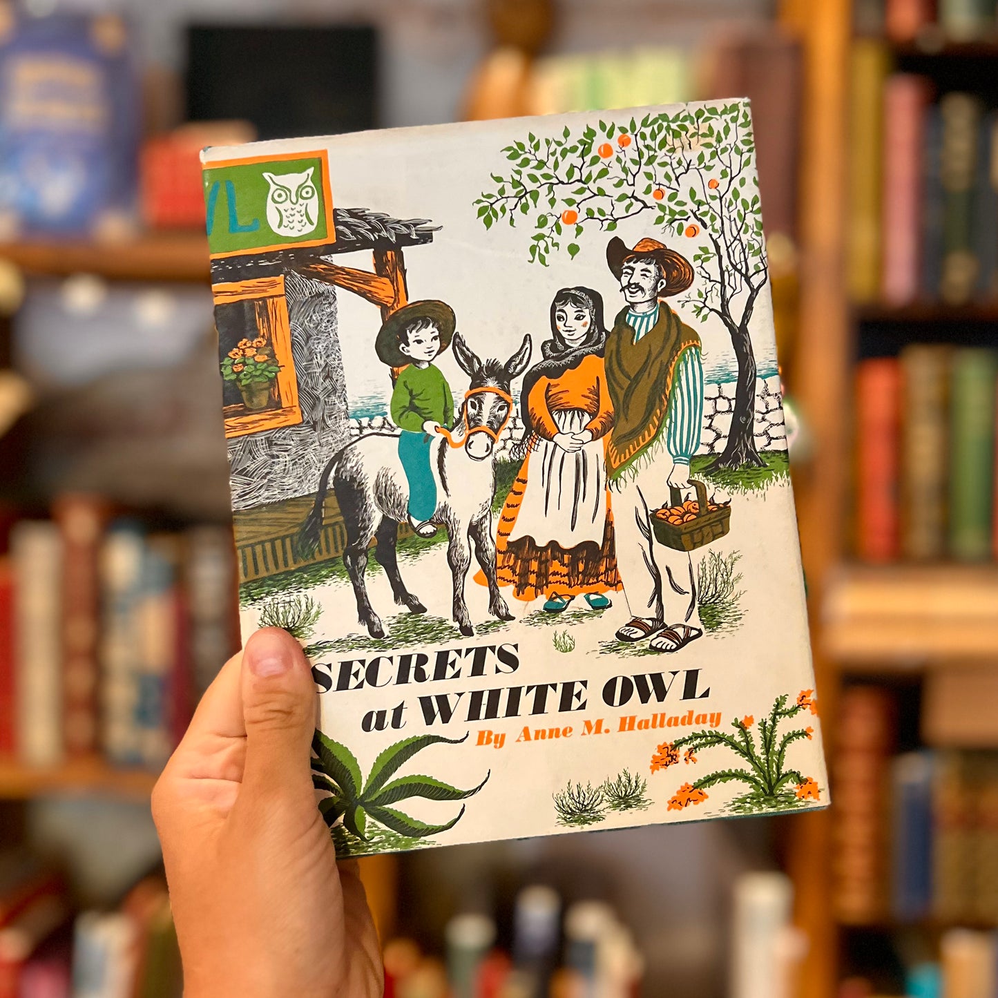 Secrets at White Owl – Anne M. Halladay and Betsy Warren