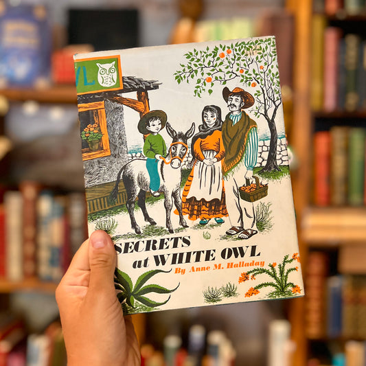 Secrets at White Owl – Anne M. Halladay and Betsy Warren