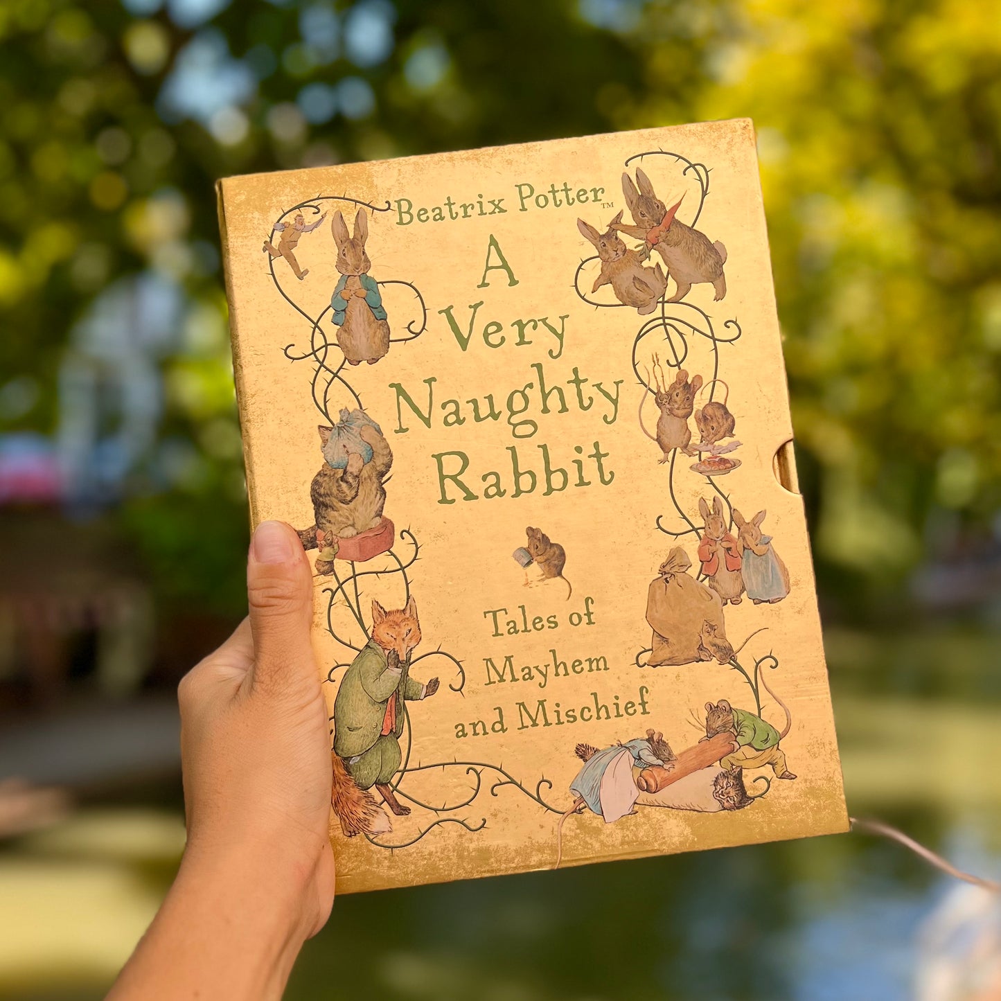 A Very Naughty Rabbit: Tales of Mayhem and Mischief – Beatrix Potter