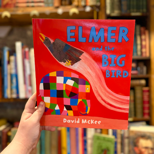 Elmer and the Big Bird – David McKee