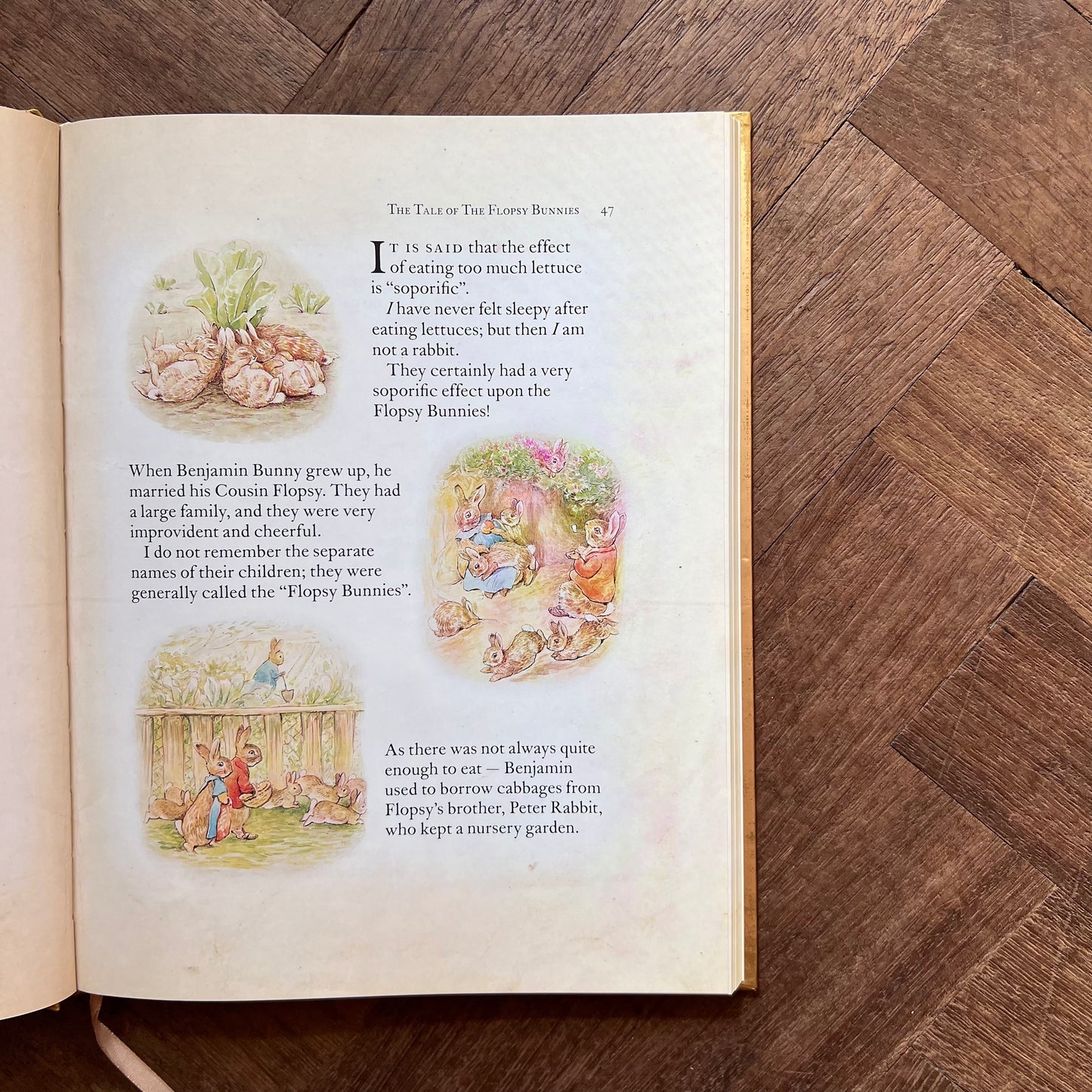 A Very Naughty Rabbit: Tales of Mayhem and Mischief – Beatrix Potter