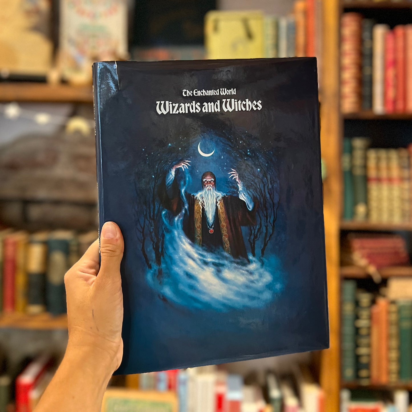 The Enchanted World: Wizards and Witches (1984)