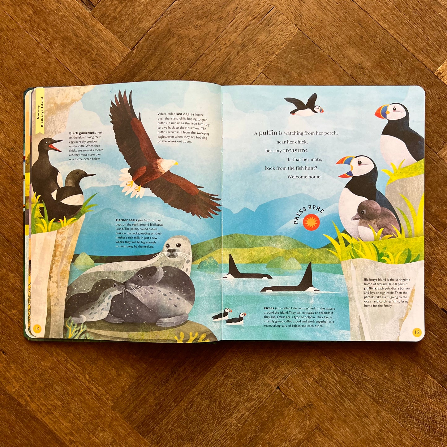 Sounds of the Sky – Moira Butterfield, Jonathan Woodward