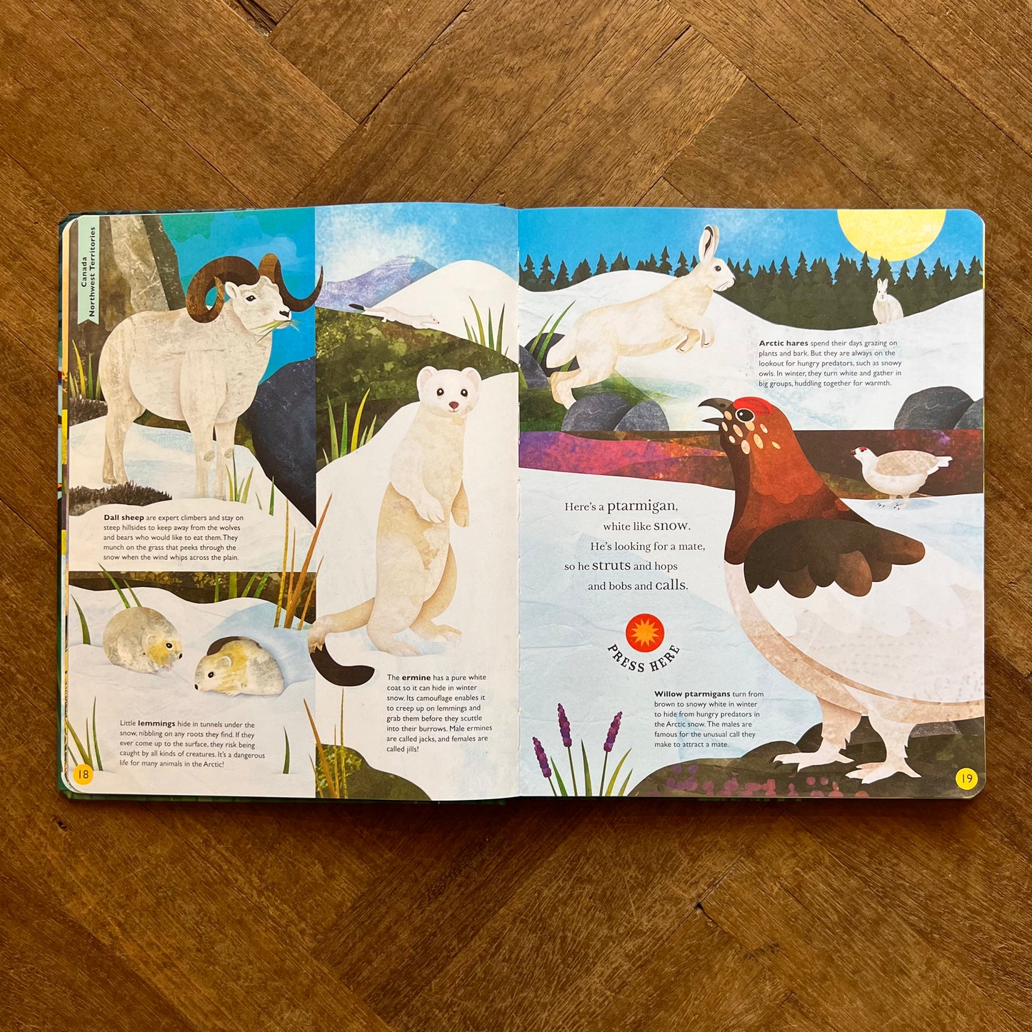 Sounds of the Sky – Moira Butterfield, Jonathan Woodward