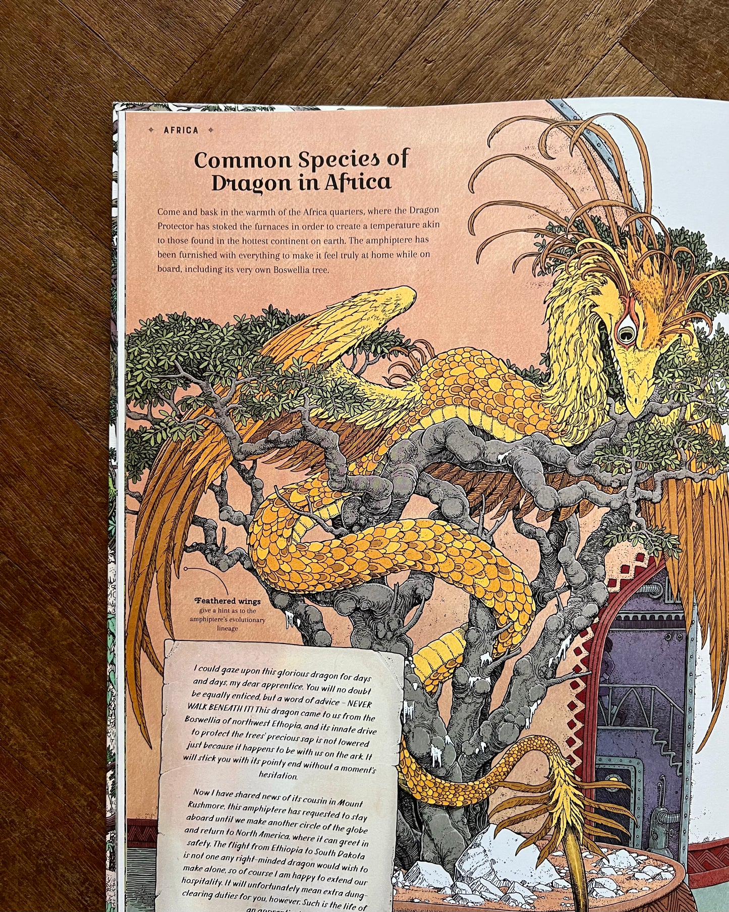 The Dragon Ark – Curatoria Draconis, Tomislav Tomic