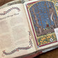 The Dragon Ark – Curatoria Draconis, Tomislav Tomic
