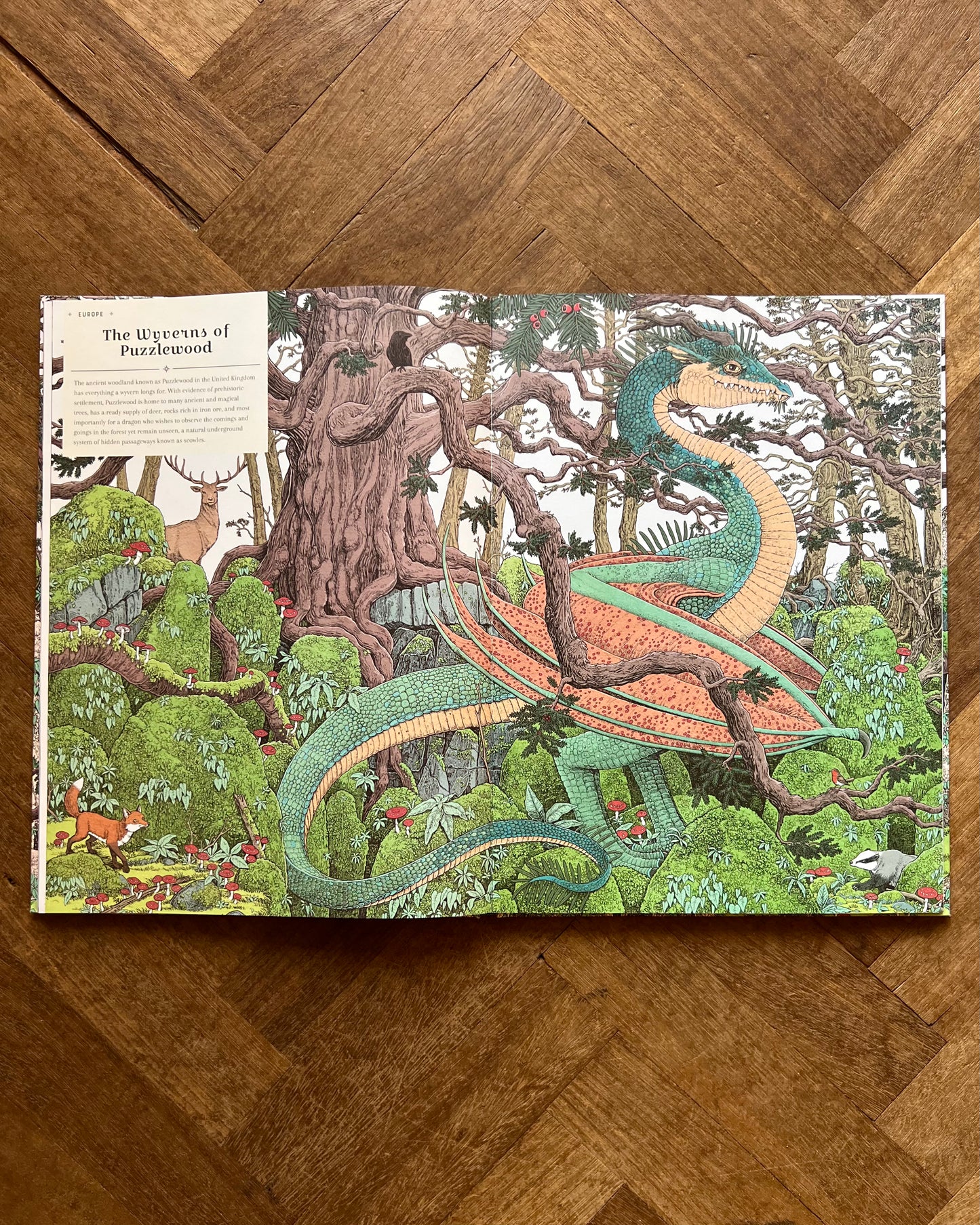 The Dragon Ark – Curatoria Draconis, Tomislav Tomic