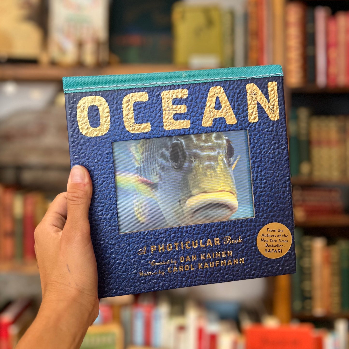 Ocean: A Photicular Book – Dan Kainen, Kathy Wollard