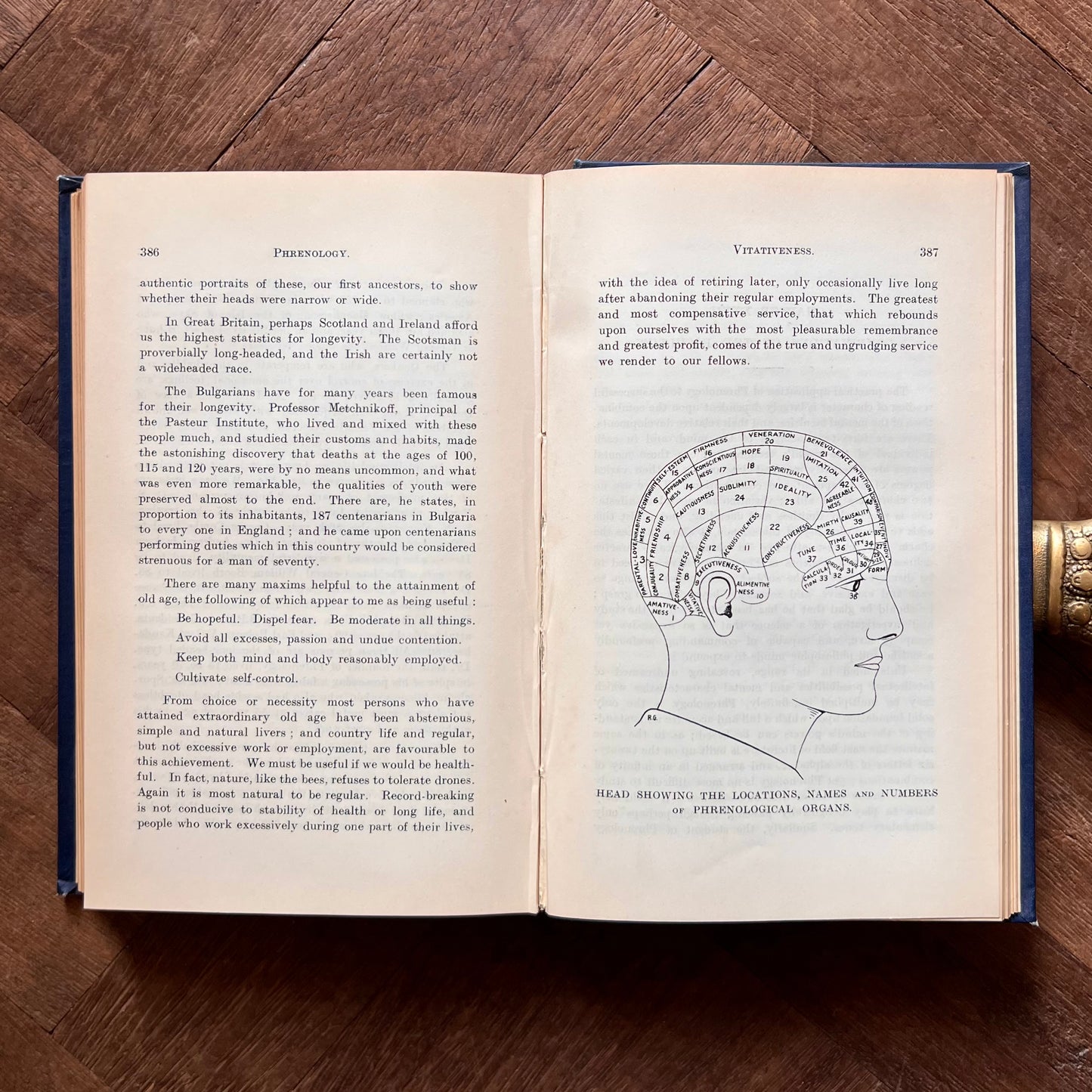 Phrenology: The Language of the Mental Faculties (1938 First Edition) – J. Millott Severn