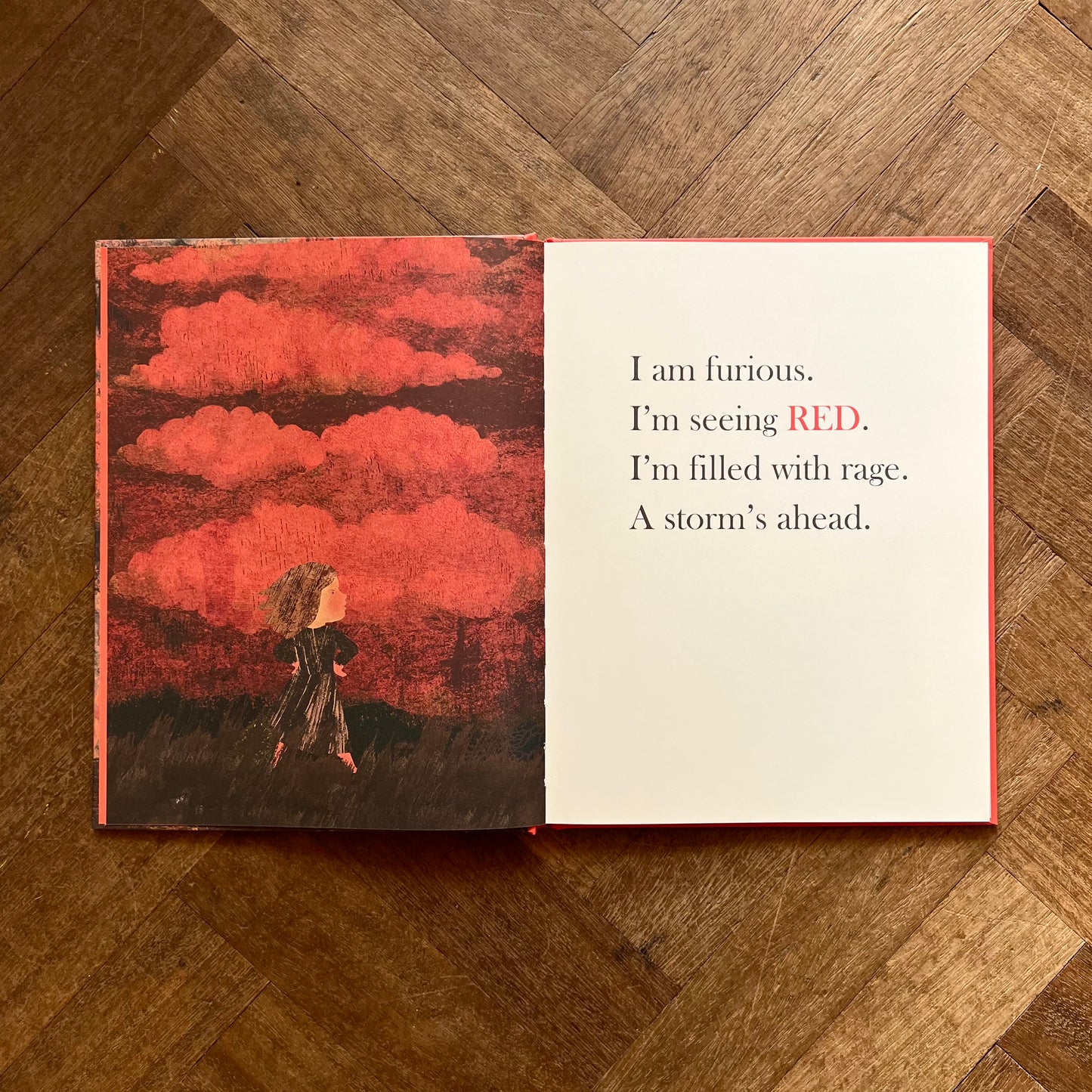 When I See Red – Britta Teckentrup