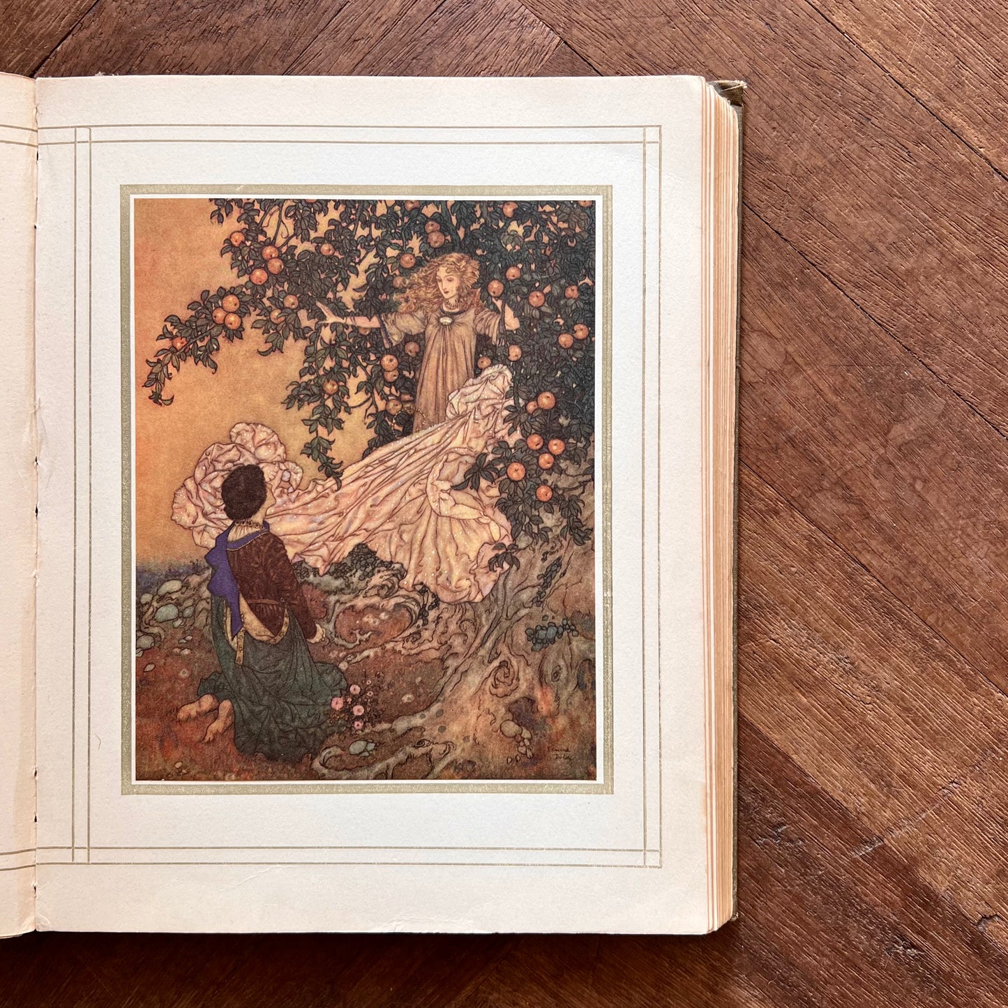 Stories from Hans Andersen, illustrated by Edmund Dulac (1911)