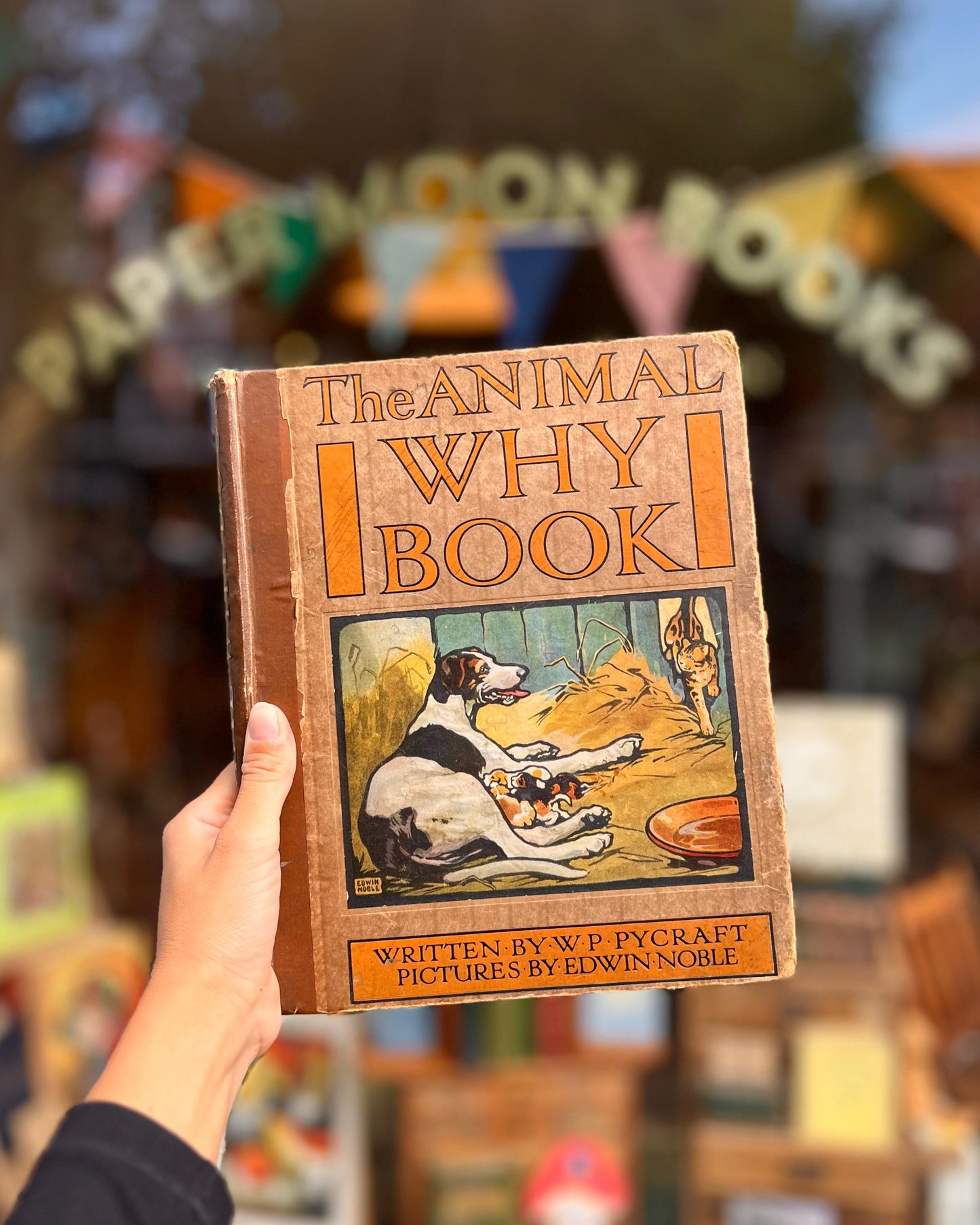 The Animal Why Book (1909) – W. P. Pycraft, Edwin Noble