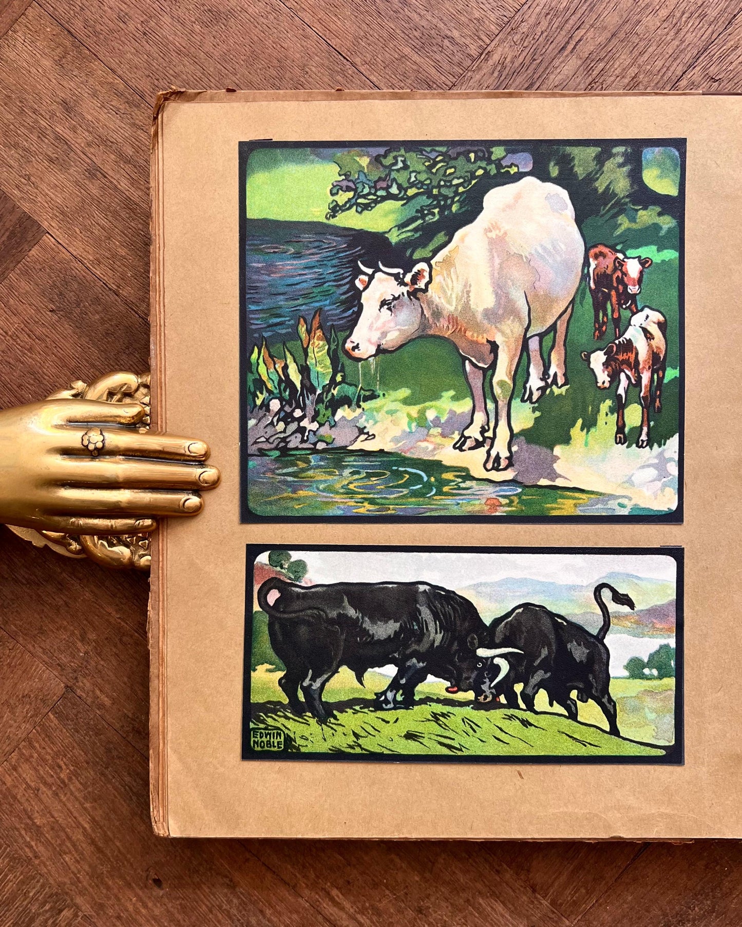 The Animal Why Book (1909) – W. P. Pycraft, Edwin Noble