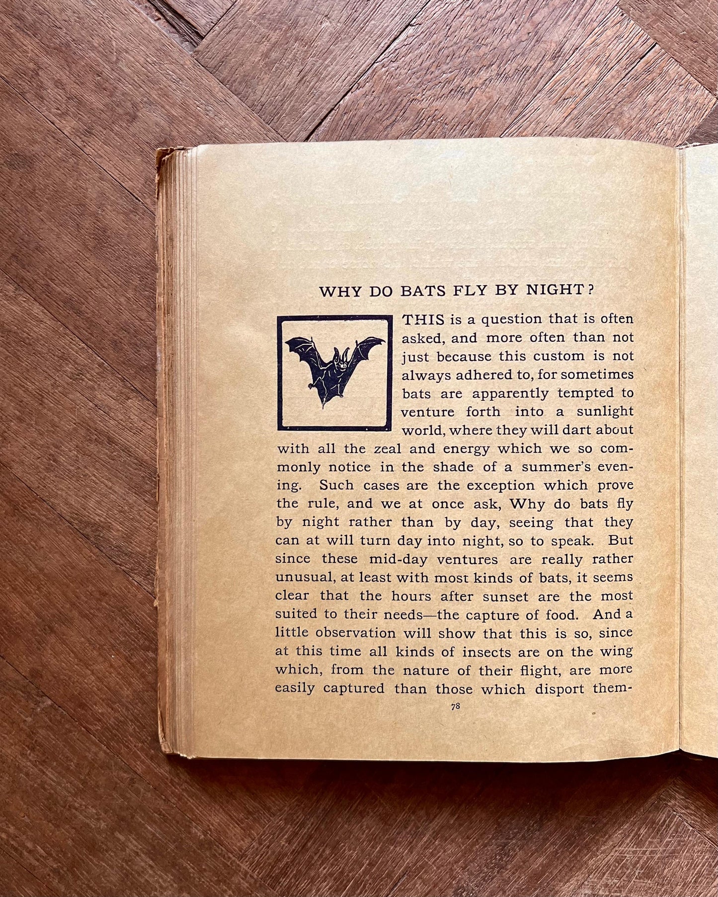The Animal Why Book (1909) – W. P. Pycraft, Edwin Noble