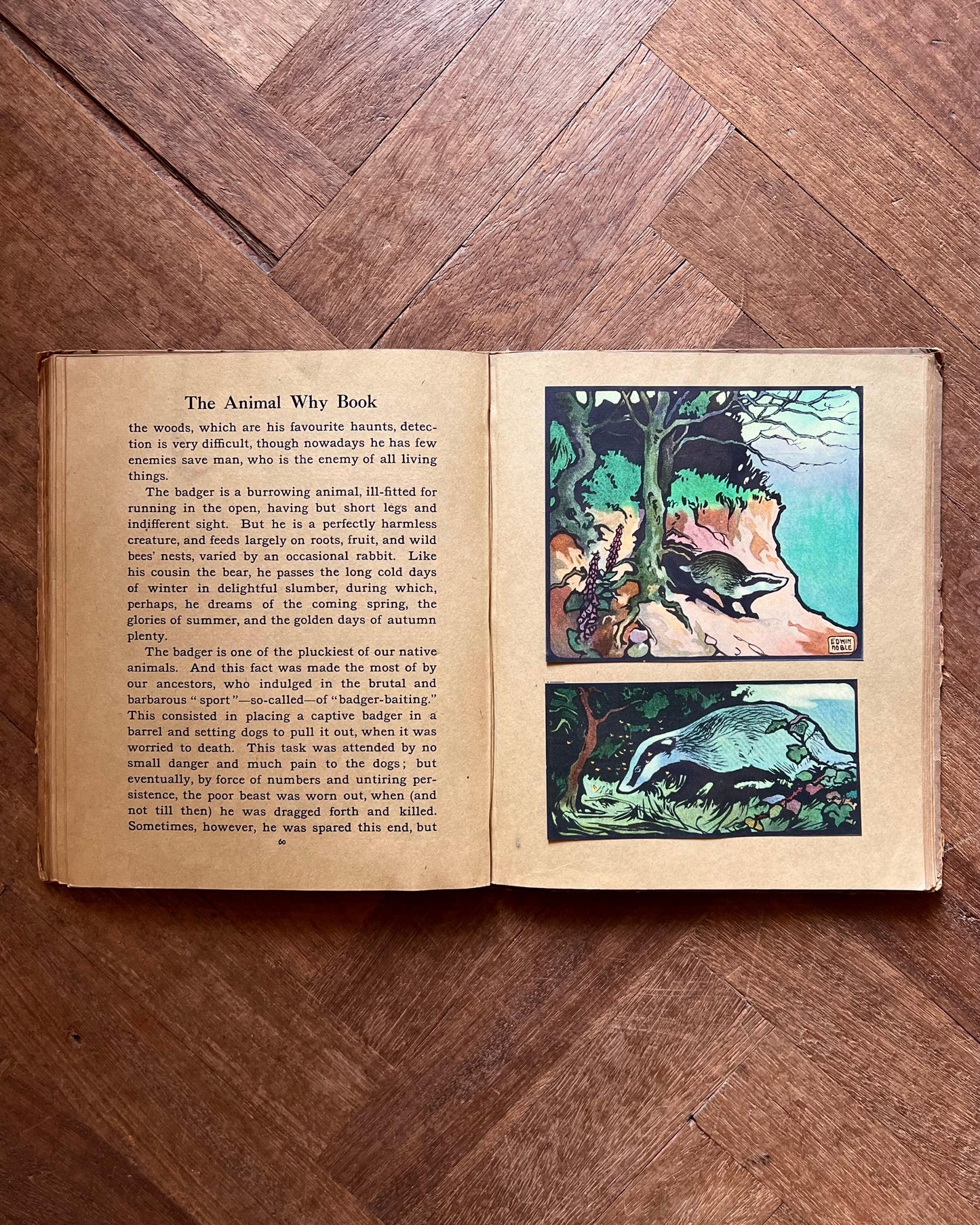The Animal Why Book (1909) – W. P. Pycraft, Edwin Noble