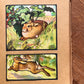 The Animal Why Book (1909) – W. P. Pycraft, Edwin Noble