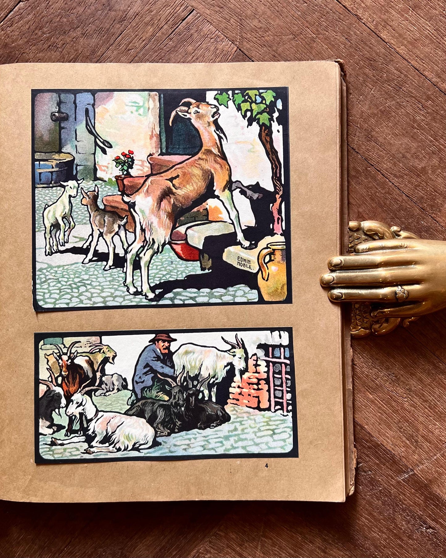The Animal Why Book (1909) – W. P. Pycraft, Edwin Noble